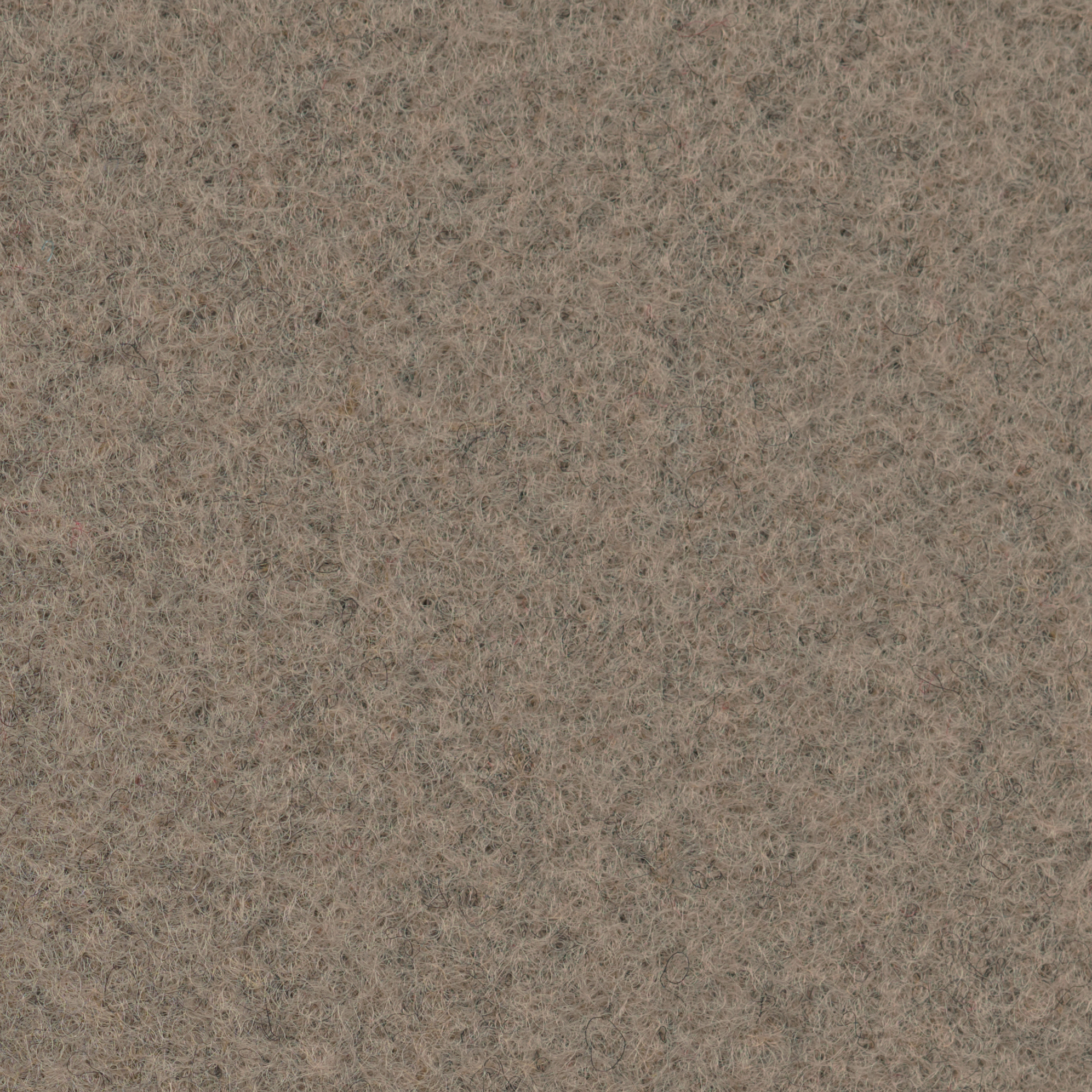 C_409ML