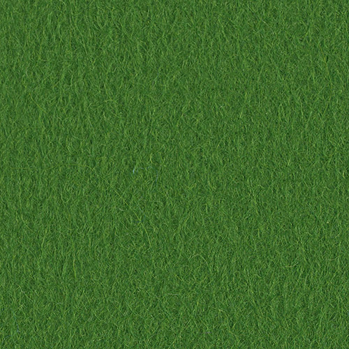 B14-Moss