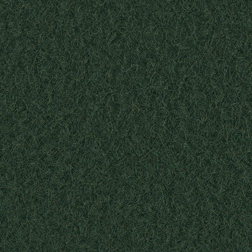 B28-Forest