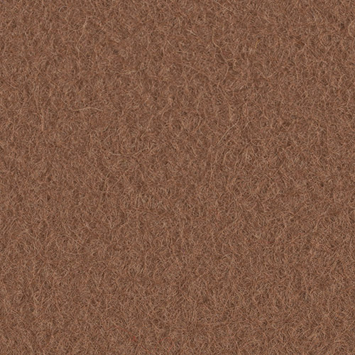 B55-Cinnamon