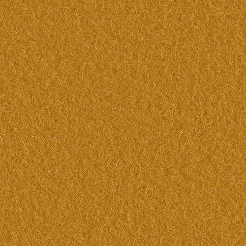 B61-Goldrush