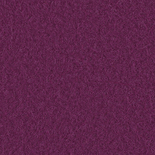 B7-Amethyst