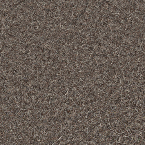 BG2-Cocoa