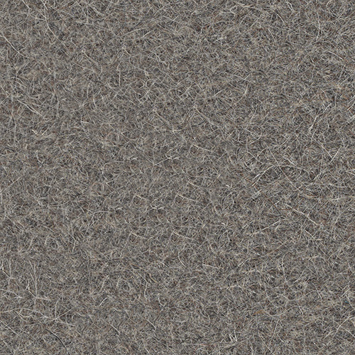 BG7-Slate